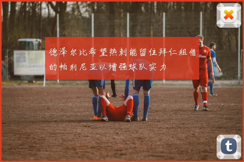 德泽尔比希望热刺能留住拜仁租借的帕利尼亚以增强球队实力